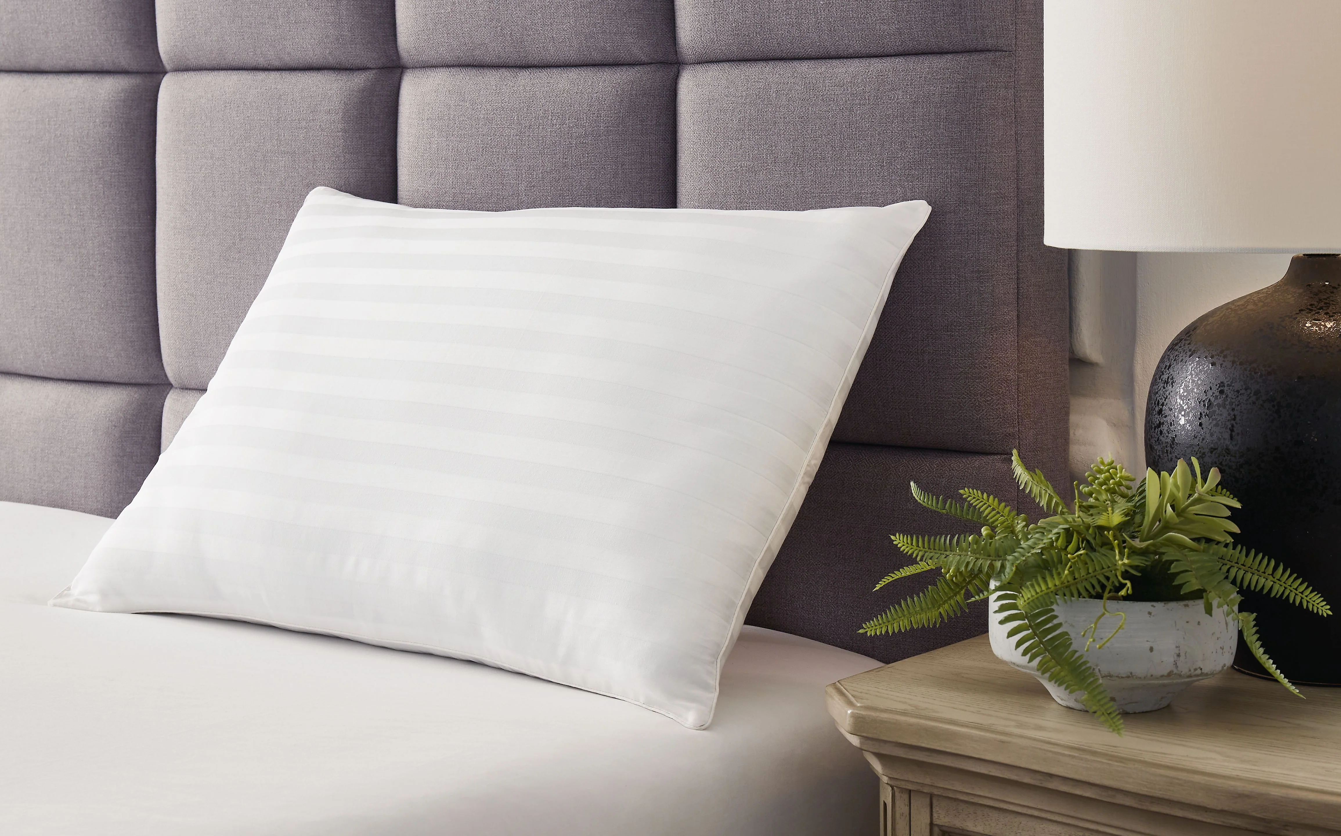 Zephyr 2.0 - Cotton Pillow - Image 4
